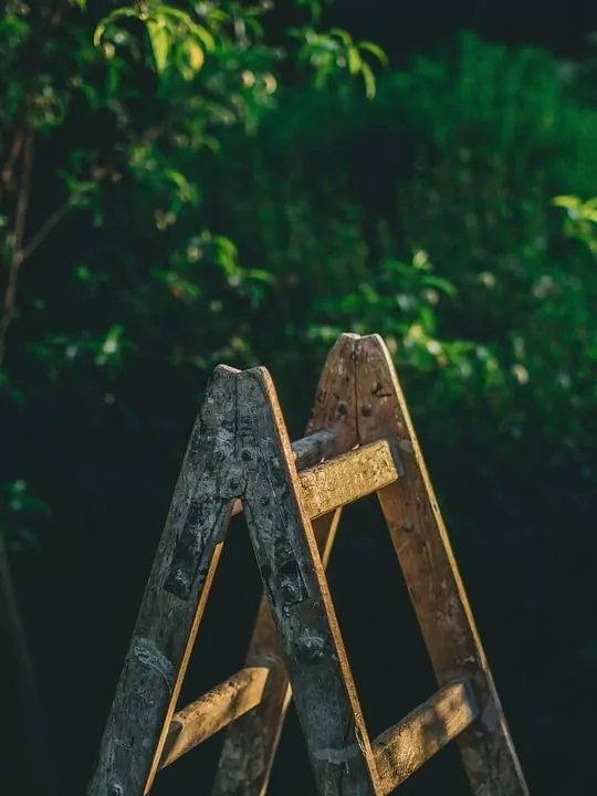 Usar una escalera como jardinera