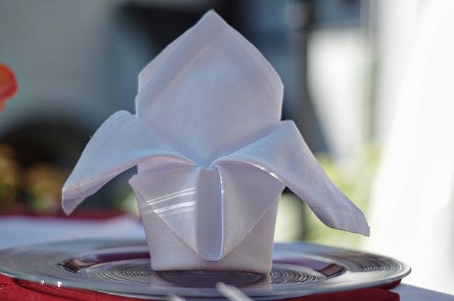 5 formas de doblar servilletas de papel para Navidad